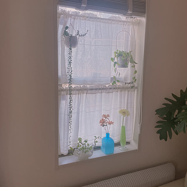 akiko-ovさんの部屋