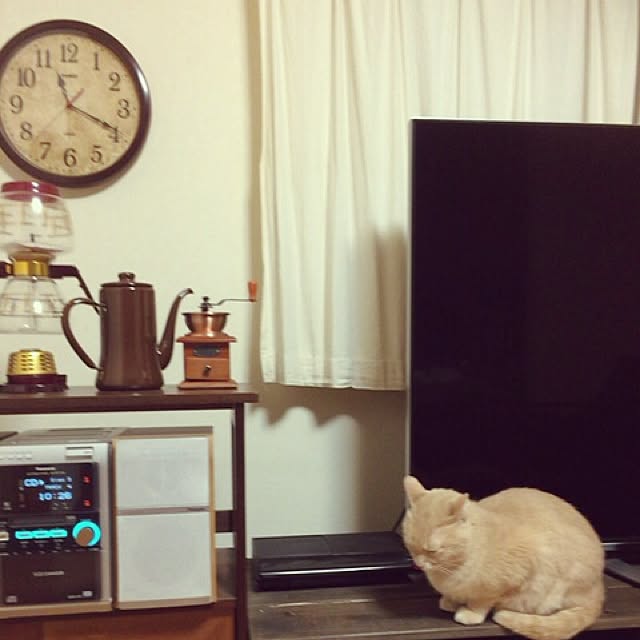mikan161さんの実例写真