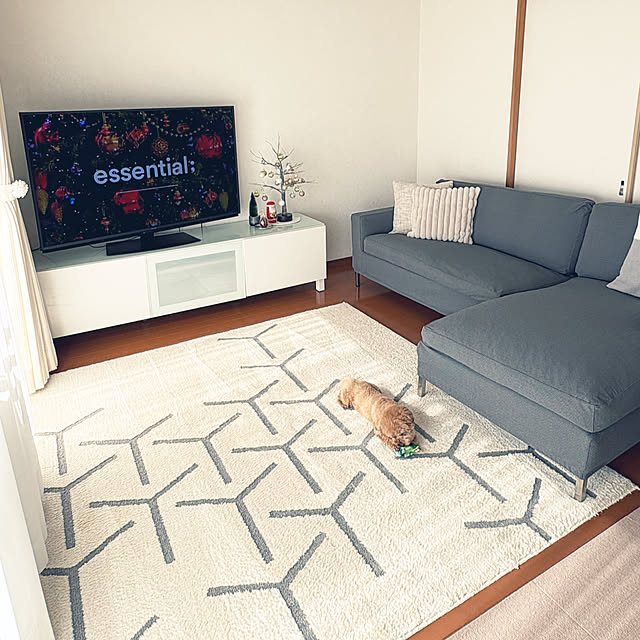 kawauso15さんの部屋