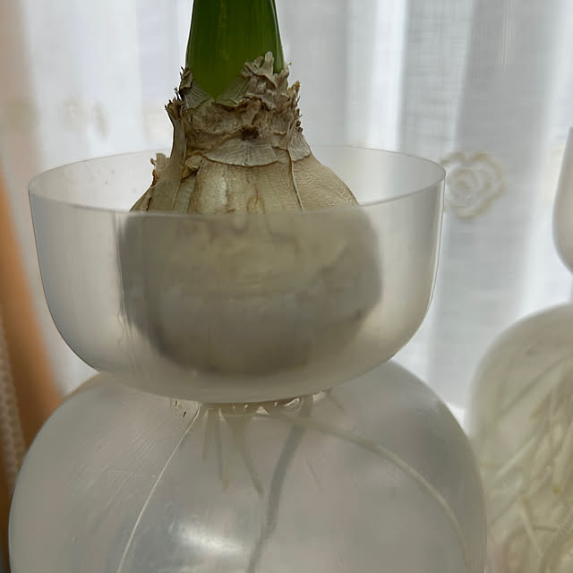 fumikoiさんの部屋