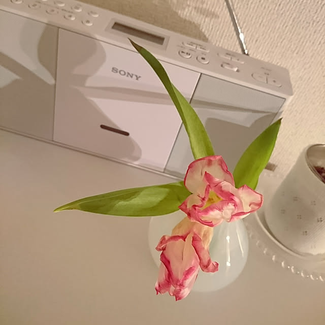 sさんの実例写真