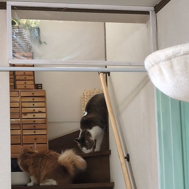 mori_6_12さんの部屋