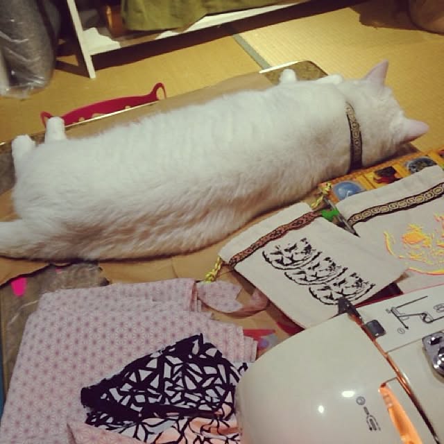 matatabi88さんの実例写真