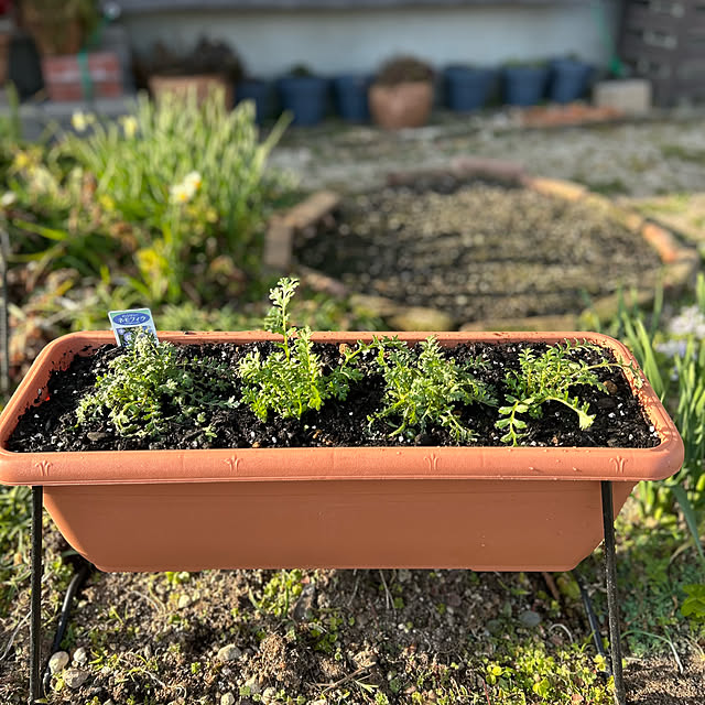 ritsukoさんの部屋