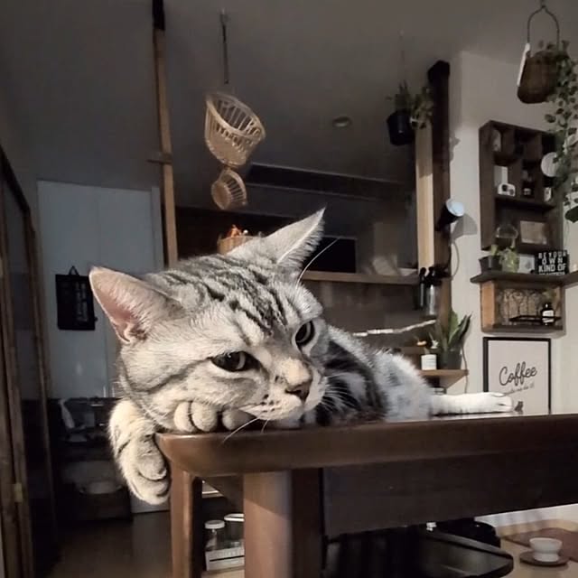 lovepeaceさんの部屋