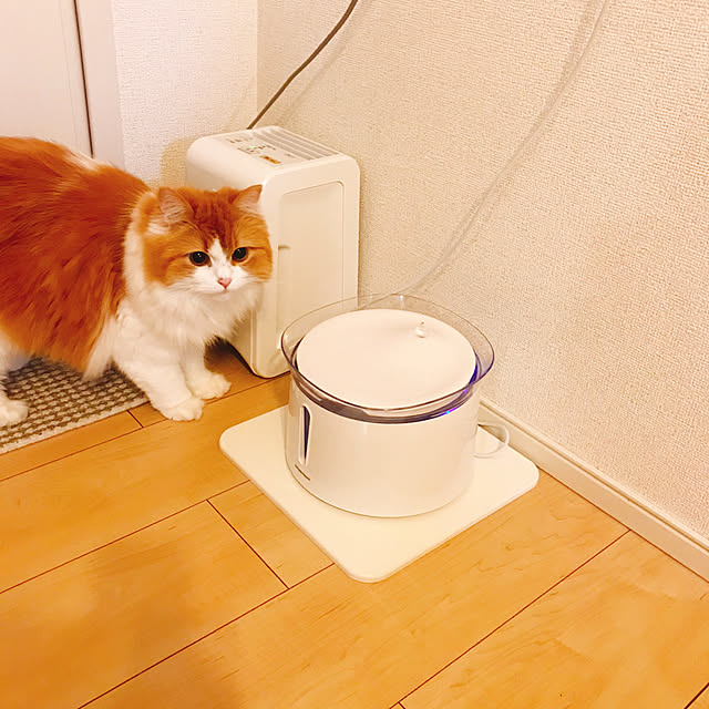 H.Tさんの実例写真
