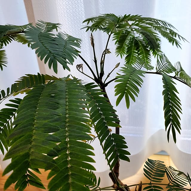 tokkiさんの部屋