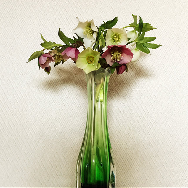 fuyiqian1026さんの実例写真