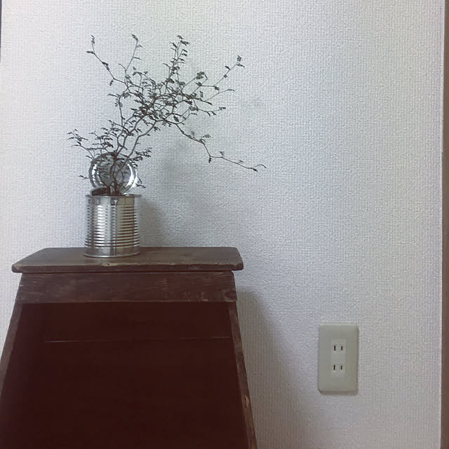観葉植物/一人暮らし/レトロ/キッチンのインテリア実例 - 2019-04-14 17:26:52