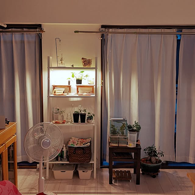mi-saさんの部屋