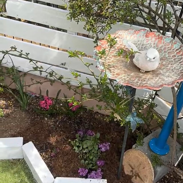 Megumiさんの部屋