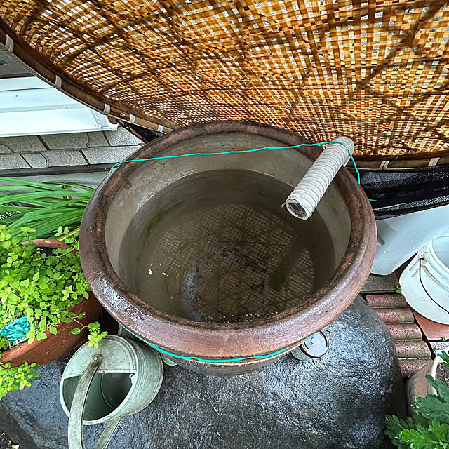 botanさんの実例写真