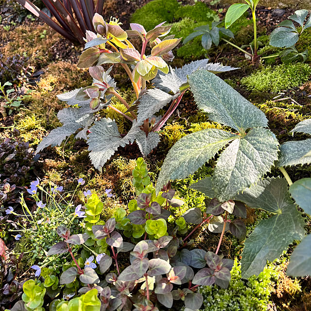 kyoko1124koさんの部屋