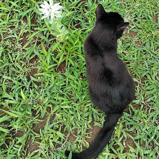 hiroさんの実例写真