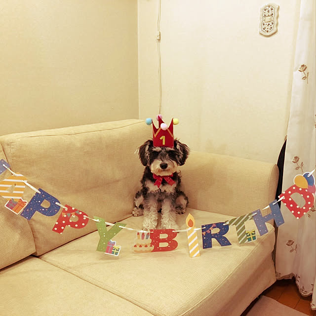 namilk0217さんの実例写真