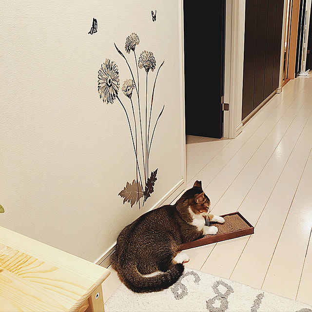 nekomiさんの実例写真