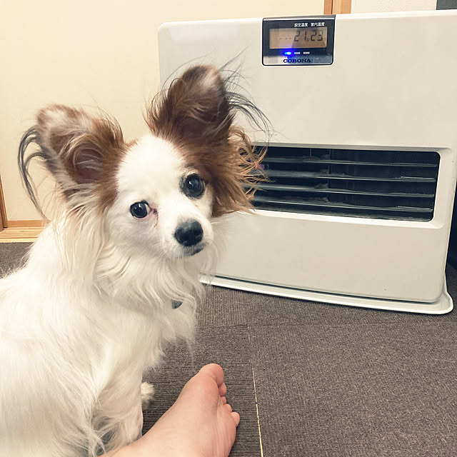 Kさんの実例写真