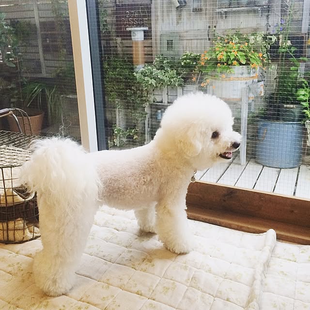 happy_bridgeさんの実例写真