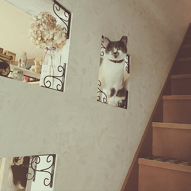 muuさんの実例写真