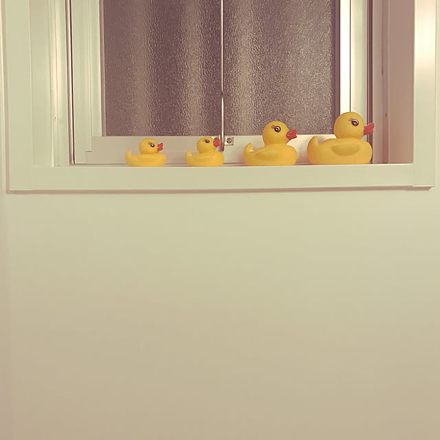 ayaさんの実例写真