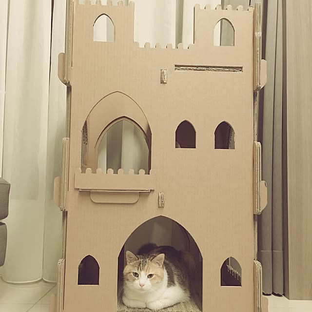 Yuさんの実例写真