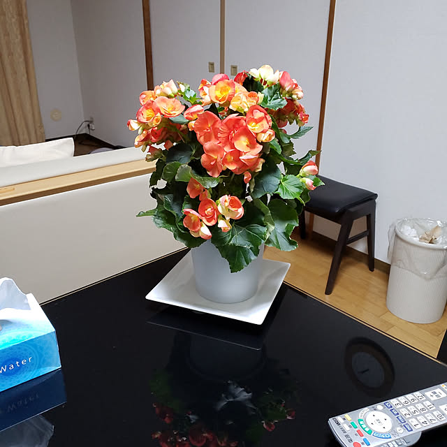 m345さんの実例写真