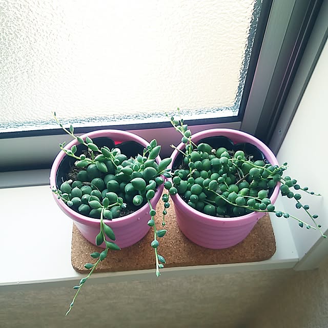 aco_zgさんの実例写真