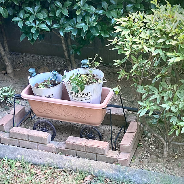 YuuKoさんの実例写真