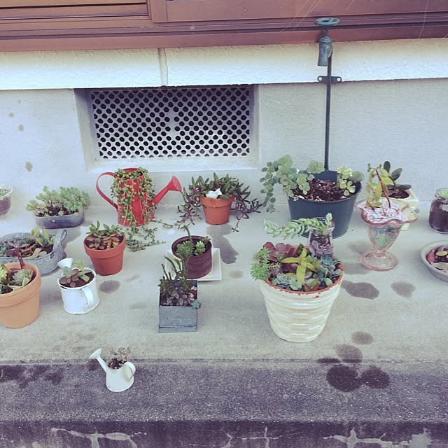 niiisaさんの実例写真