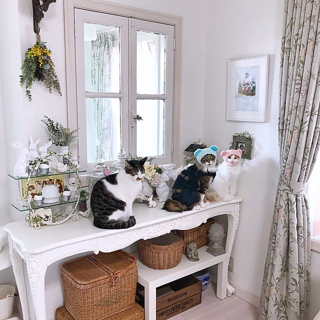 yuchiさんの実例写真