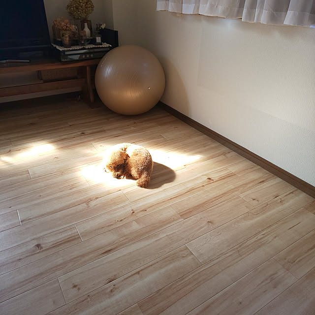 santamamaさんの実例写真