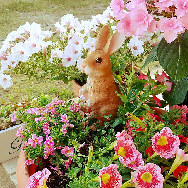REI.DIYさんの実例写真