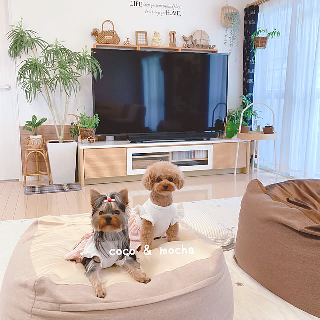 e.and.m.mamaさんの実例写真