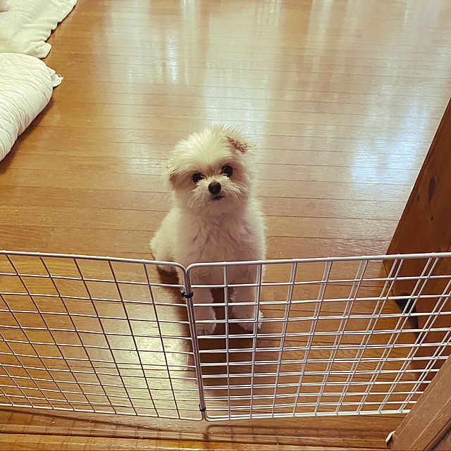 Kekoponさんの実例写真