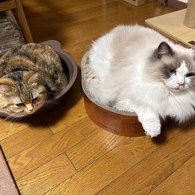 keibooさんの部屋
