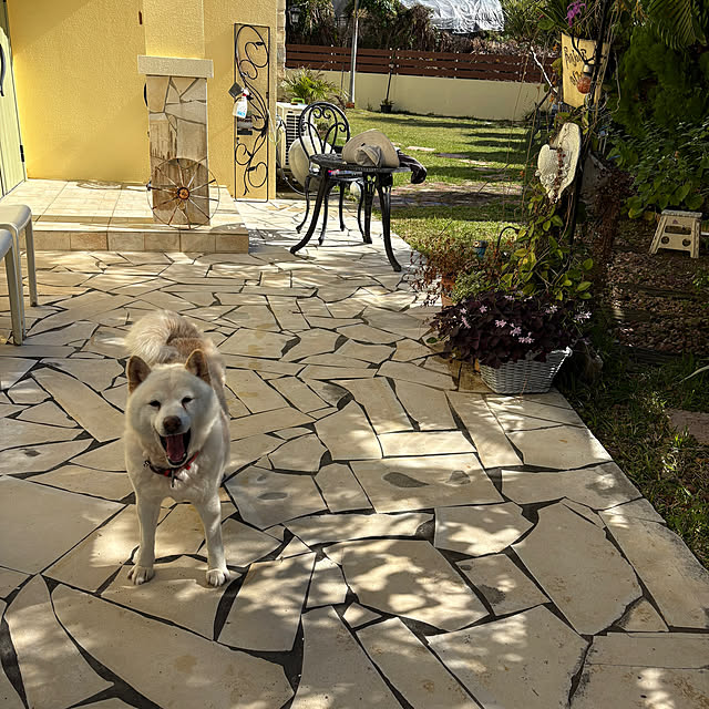 bu-bu-chanさんの部屋