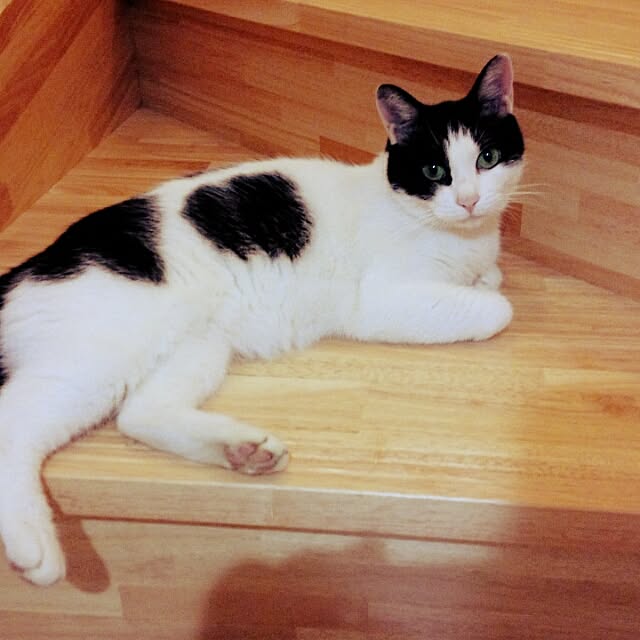 OKUUCHANさんの実例写真