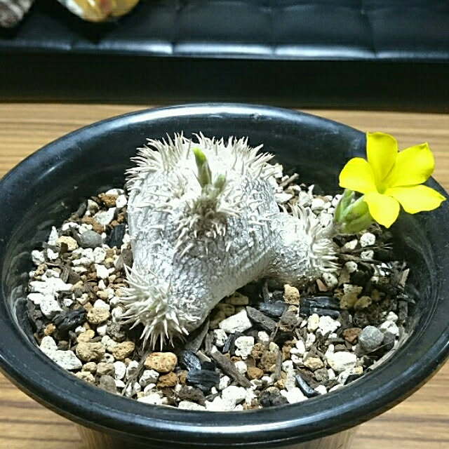 takenさんの実例写真