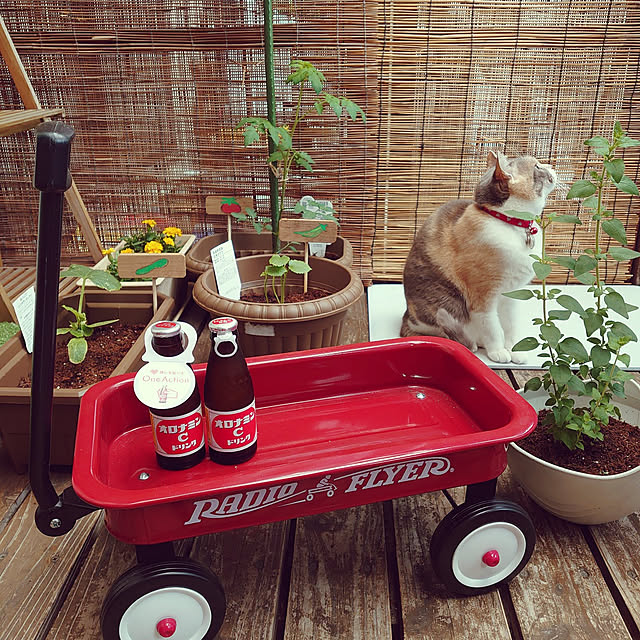 fukuさんの実例写真