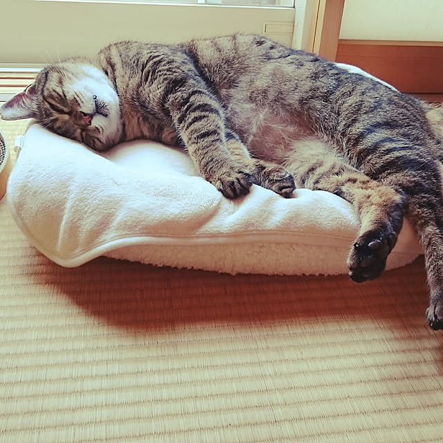 lilyさんの実例写真