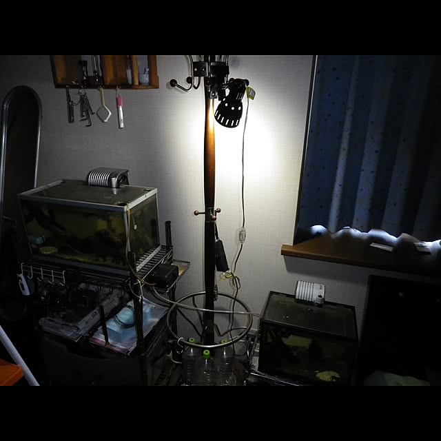 Rehiroさんの実例写真