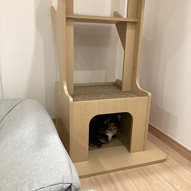 kirinsanさんの実例写真