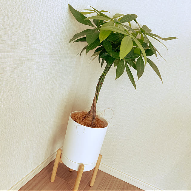 lunlunさんの実例写真