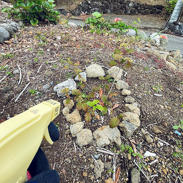 kabu10さんの部屋