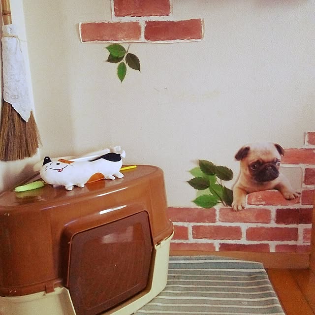834さんの実例写真