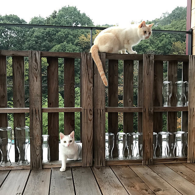 sakurasakuさんの実例写真