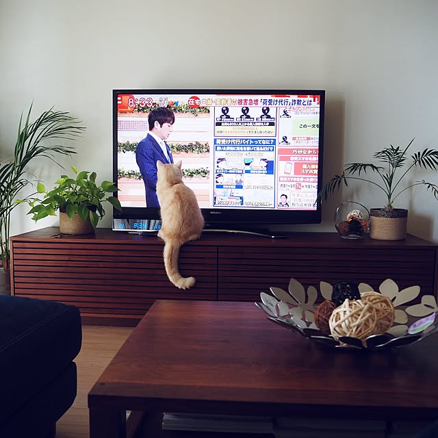 y.k.0123さんの実例写真