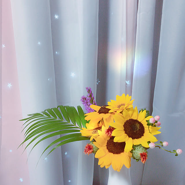 実例写真