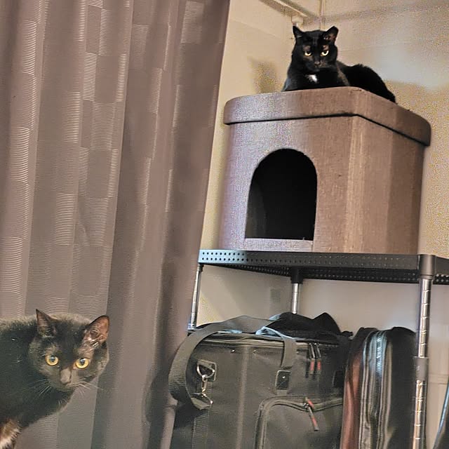 KARENさんの部屋