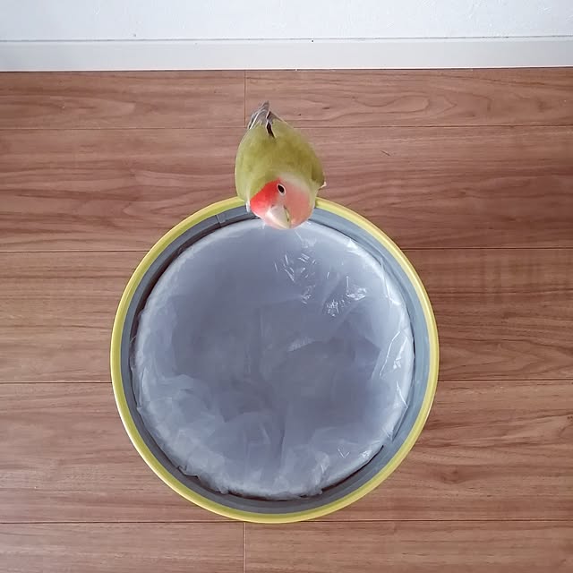 so-bokuさんの部屋